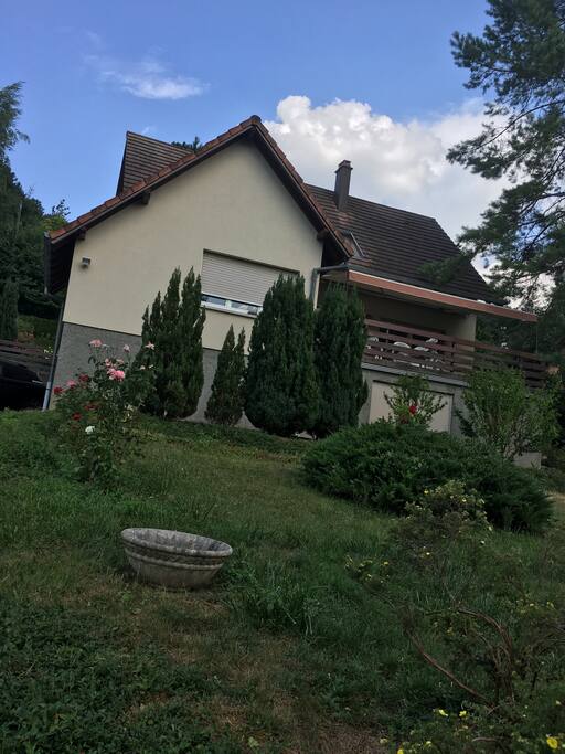 Beau duplex perché à l'orée des nuages.