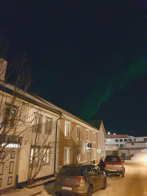 Northern lights behind our house