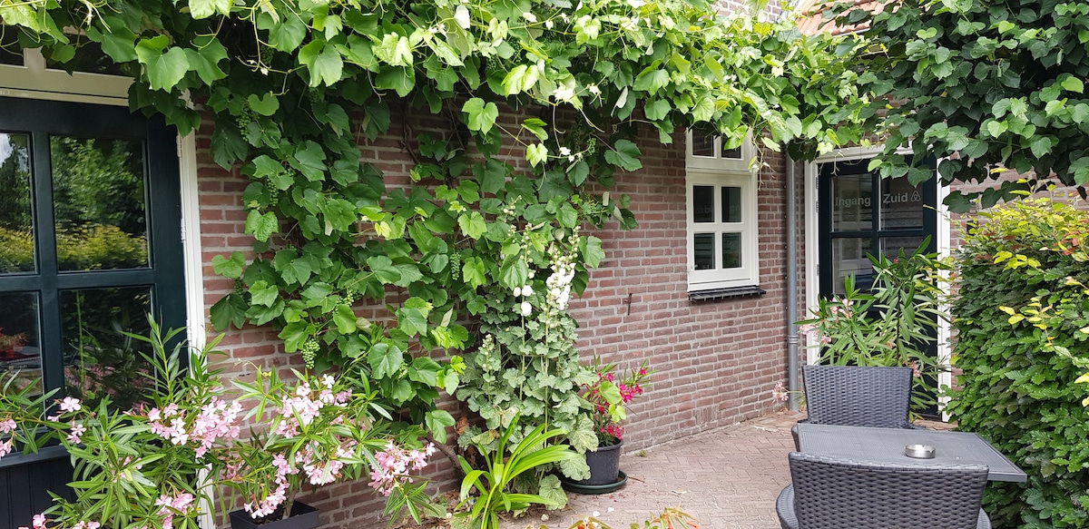 A charming outdoor area is surrounded by greenery, featuring brick walls adorned with climbing plants. Potted flowers add color, and a small table with chairs invites relaxation among the lush foliage.