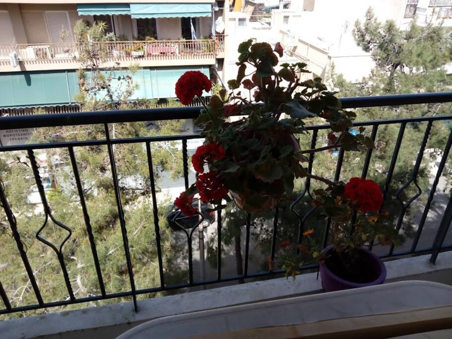 Η άνοιξη στο μπαλκόνι σας