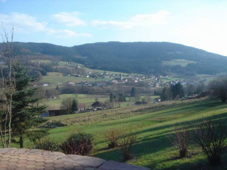 View in summer