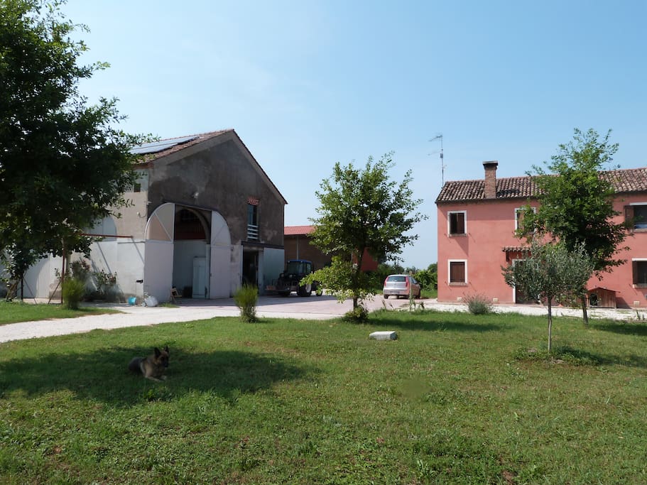 A destra del fabbricato rurale c'è l' abitazione di Jhon e della sua famiglia. Dal 2004 Jhon aiuta Francesco nella coltivazione dei campi.
To the right of the rural building is the home of Jhon and his family. From 2004, Jhon helps Francesco in the cultivation of the fields.