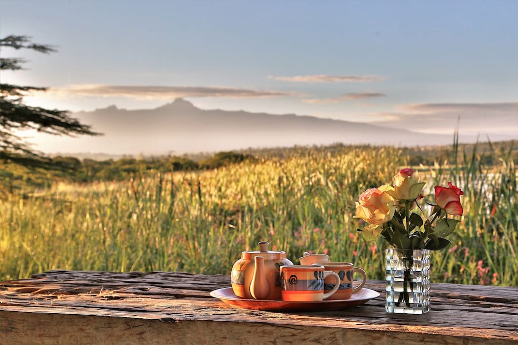 Morning tea on verandah
