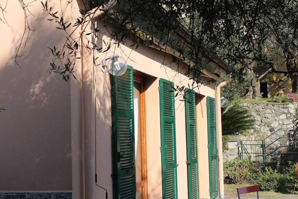 giardino