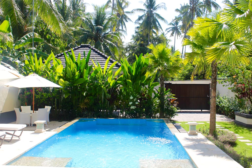 Villa in Lovina; villa Kupu Kupu Lovina