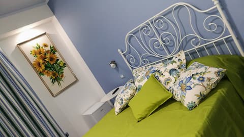 Top performing Airbnb: Ada's Dream in Sorrento
