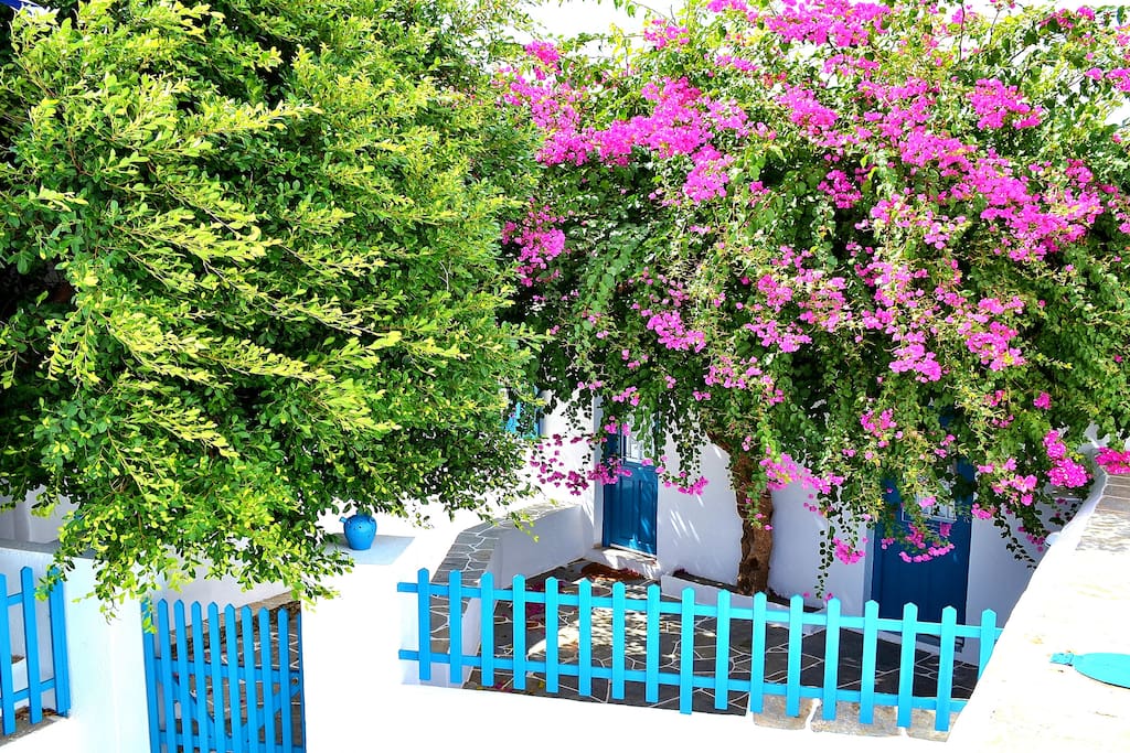 Purple Flower Villa