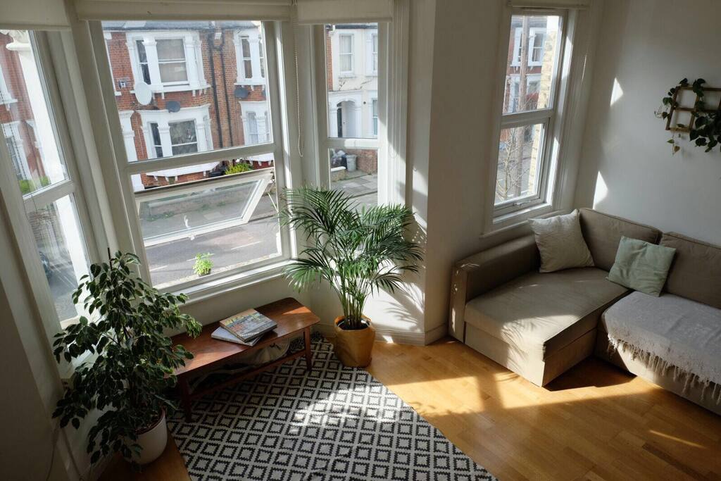 Bright living room with pull-out sofa bed.