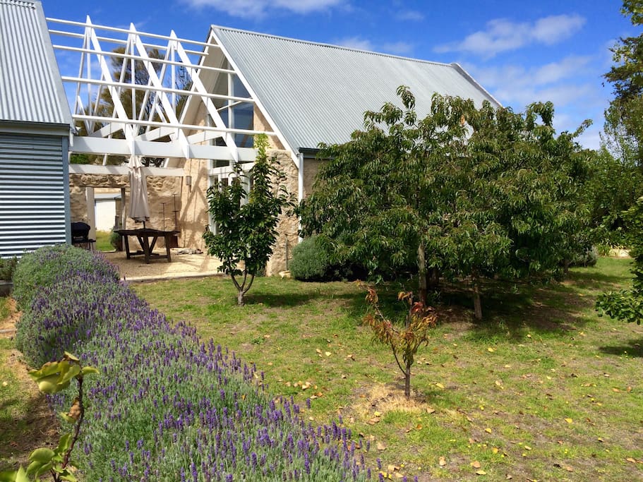 The orchard in summer
