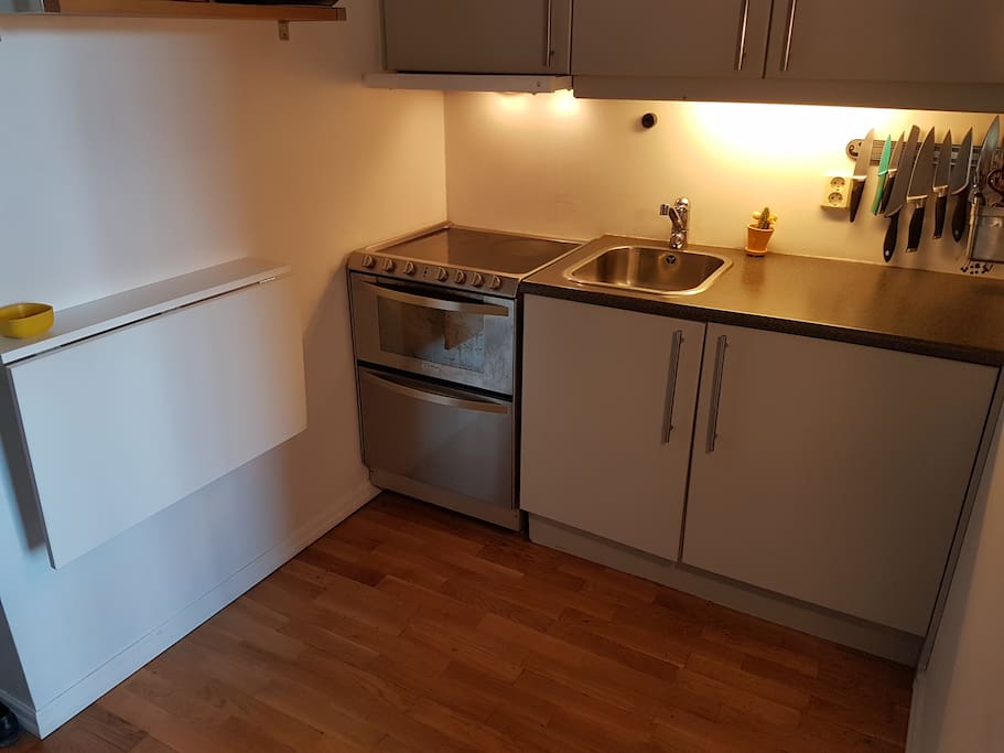 The kitchen area with 2in1 stove and dishwasher and a mini-fridge.