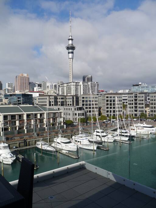 Sky Tower from our deck.