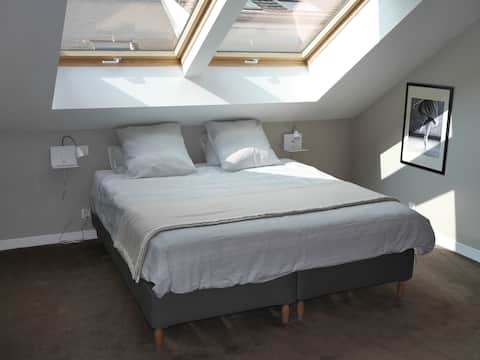 Chambre spacieuse avec S de B et toilettes privées