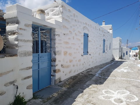 TRADITIONAL HOUSE - TRADITIONAL HOME