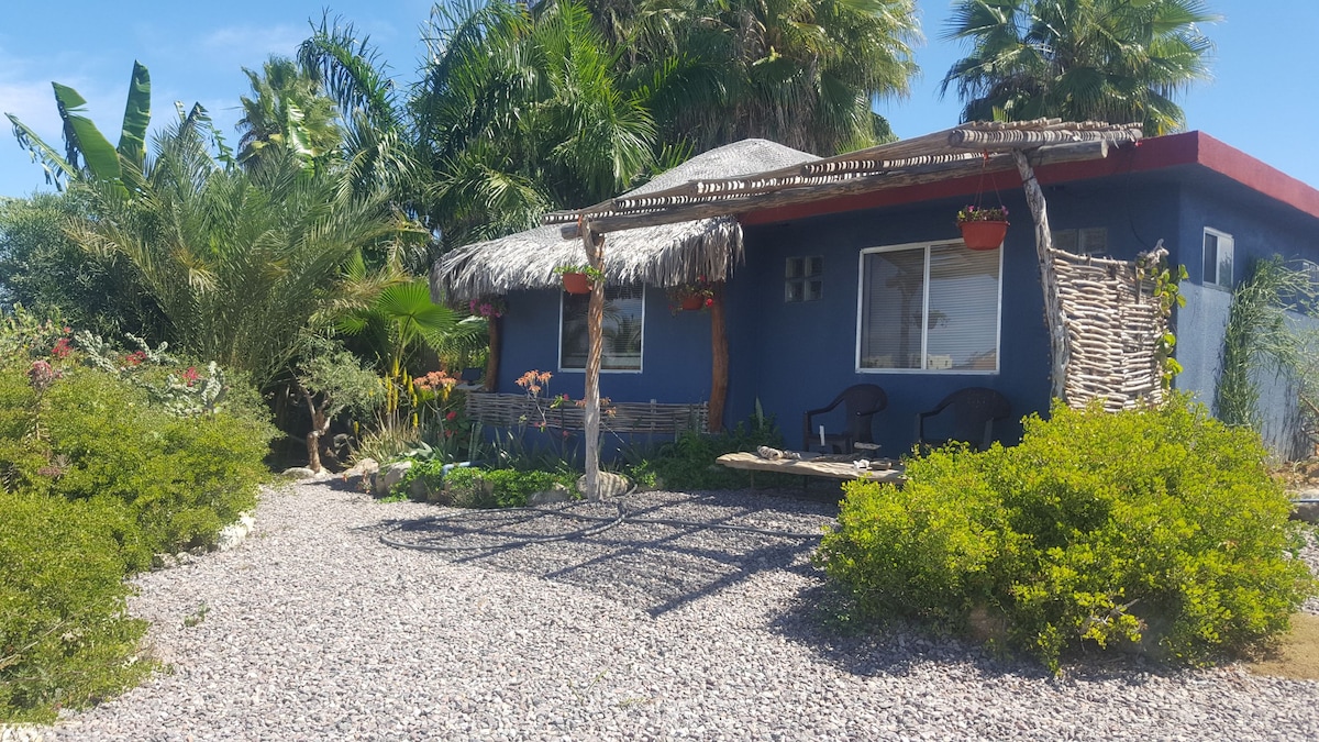 A charming structure is framed by lush greenery, featuring a traditional thatched roof and vibrant blue walls. A gravel path leads to the entrance, where comfortable chairs are positioned under a shaded area adorned with hanging plants. Palm trees and flowering shrubs surround the space.