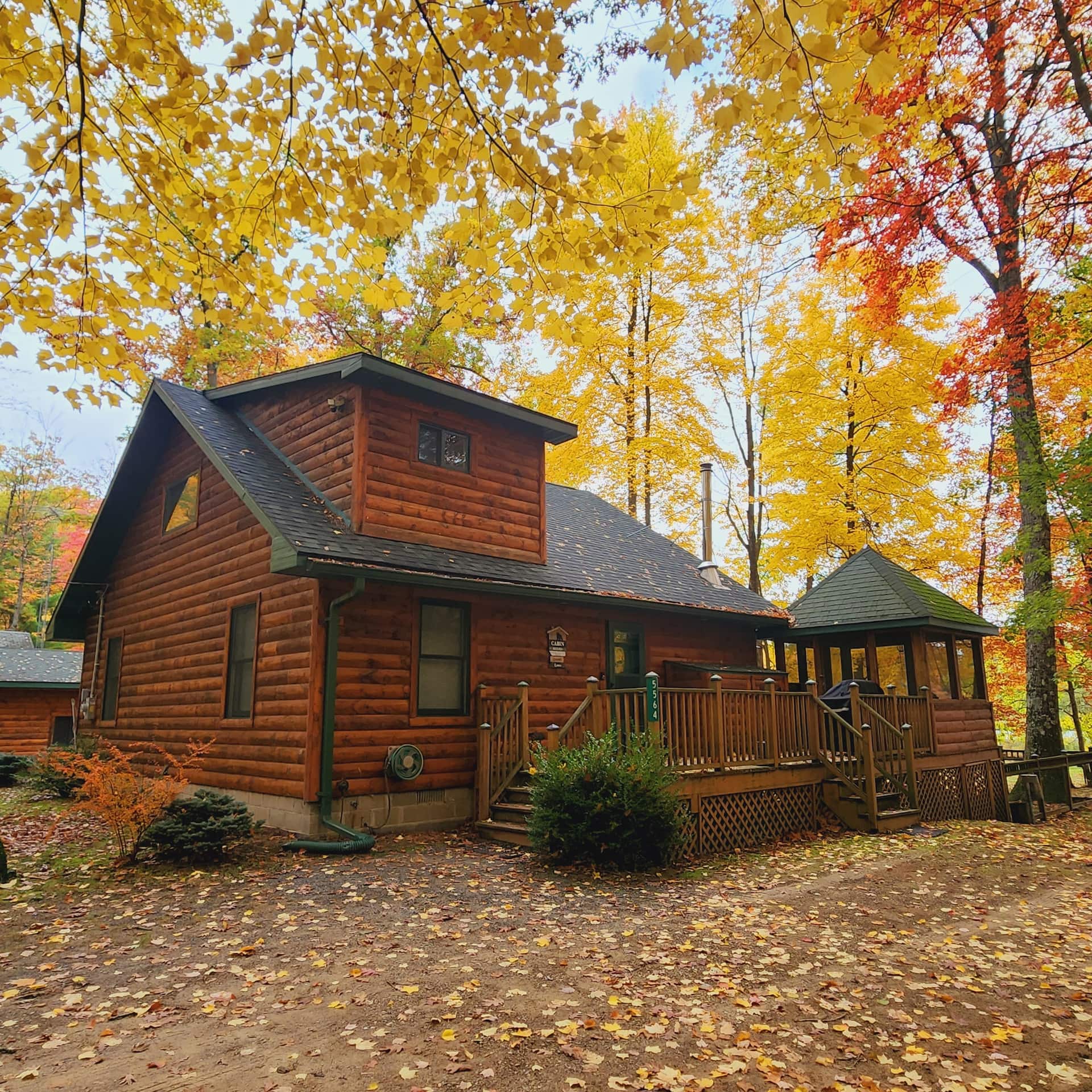 Black Bear Cottage-Hot Tub, Pet Friendly! — photo 2