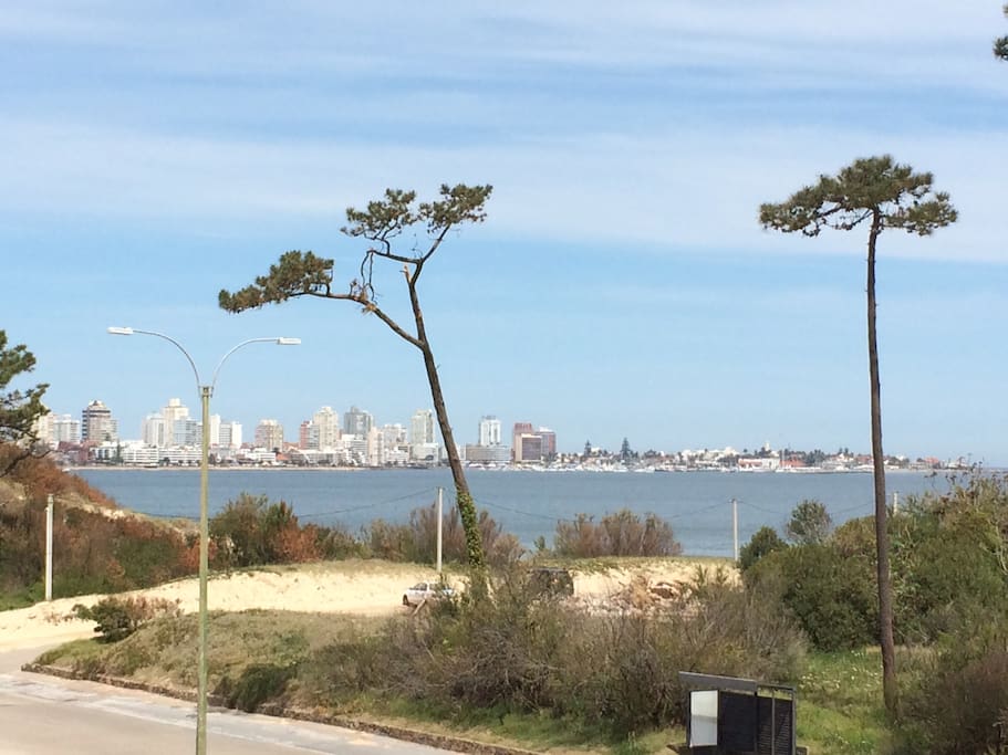 Vista balcón-Peninsula