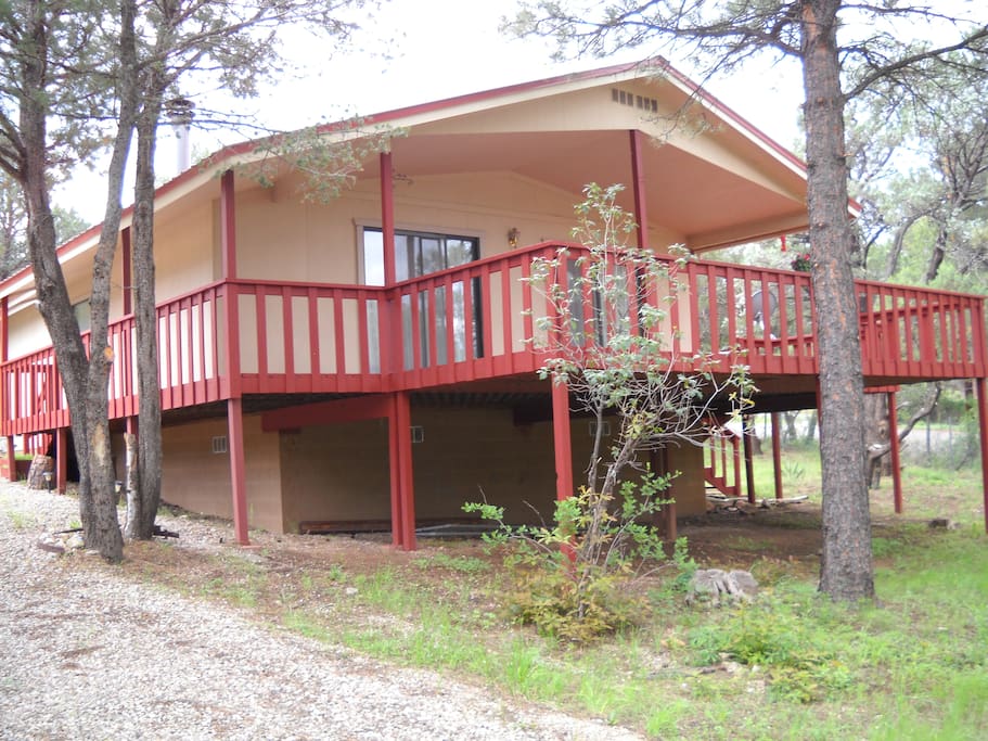 Peace in the Pines