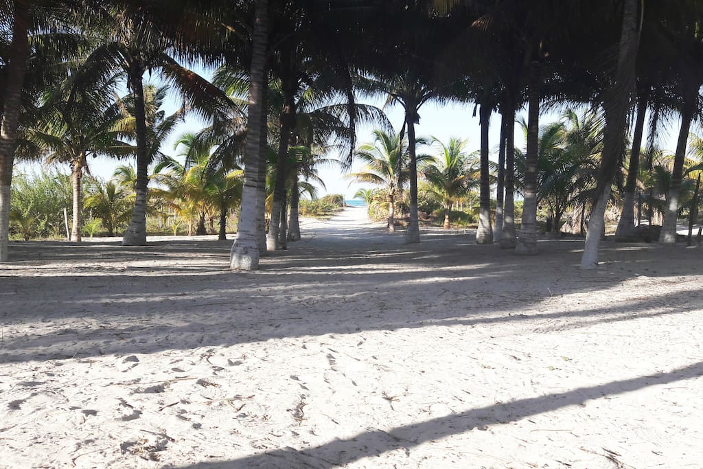 Vista hacia la playa / View from the cabin to the beach