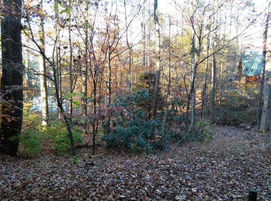 View from porch