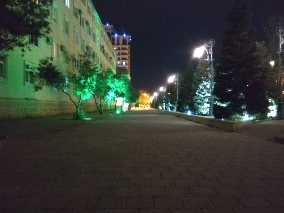 Park view