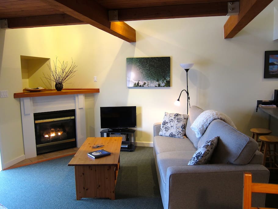 Living room with gas fireplace, flat screen tv with dvd player and a selection of movies