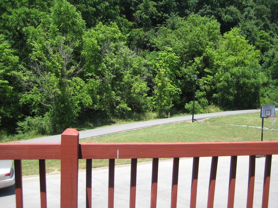 Back deck with view of Steeles Creek and bike path