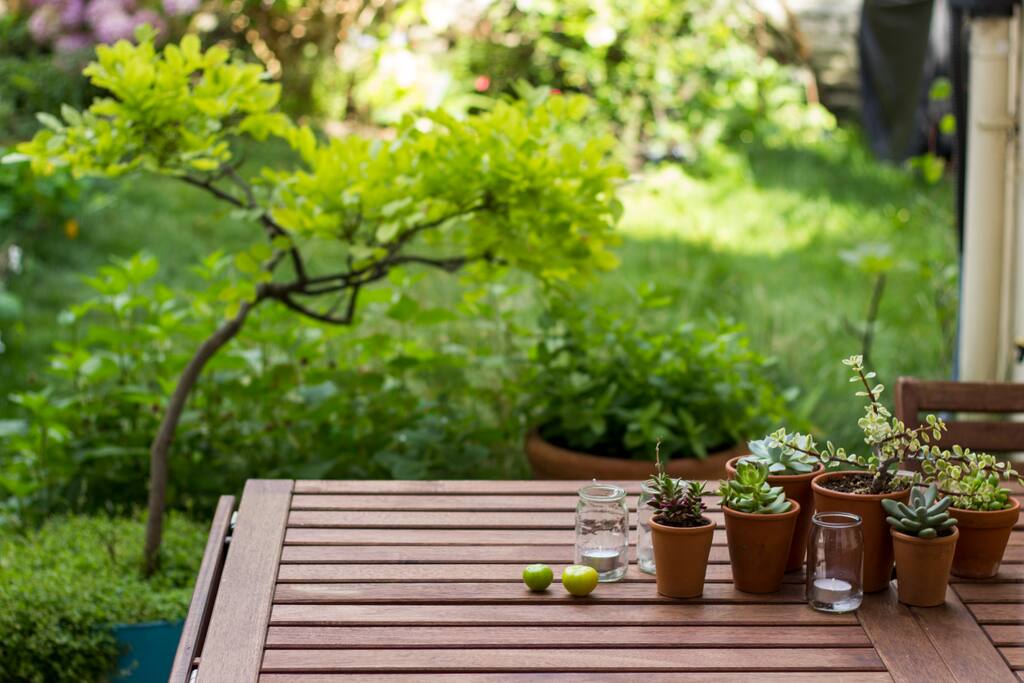 The terrace