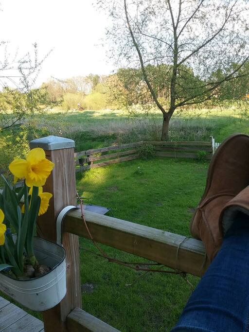 Ausblick in Richtung Aller im Frühling