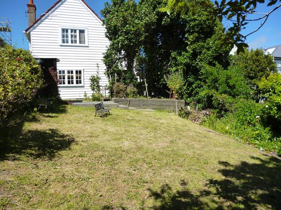 Large Backyard