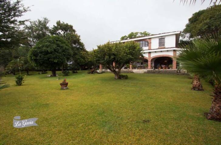 listing_image