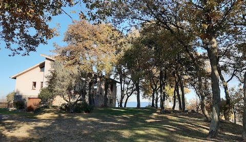 La Quintana del Grau