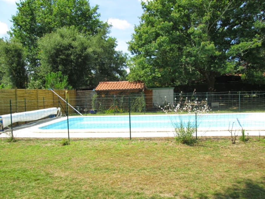piscine 11 m sur 4