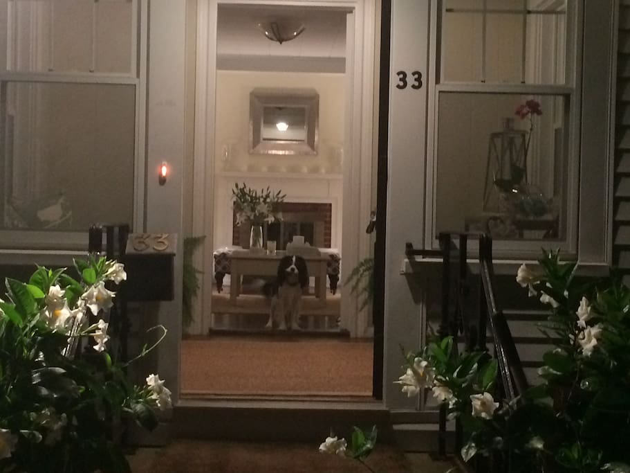 Pretty Entrance and foyer