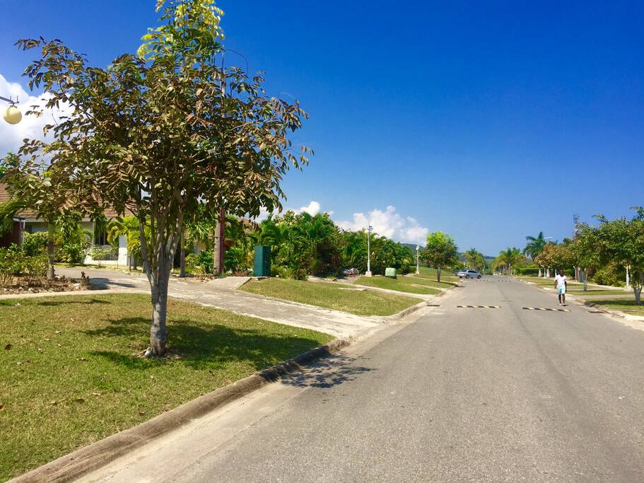 Street view