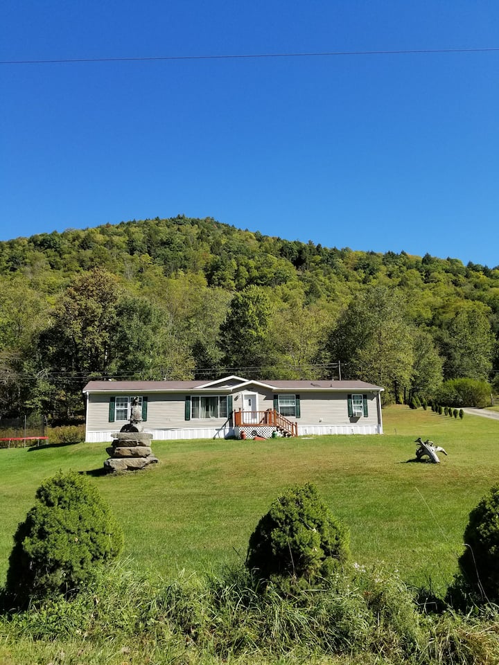 Catskills Modern Comfort Home Mountainous Backdrop Houses for Rent in