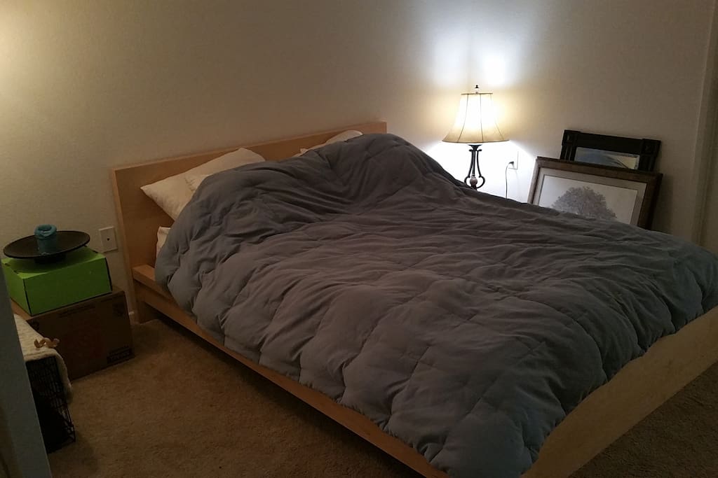 Queen size bed on a $1,000 beauty rest mattress...zzzzz : )