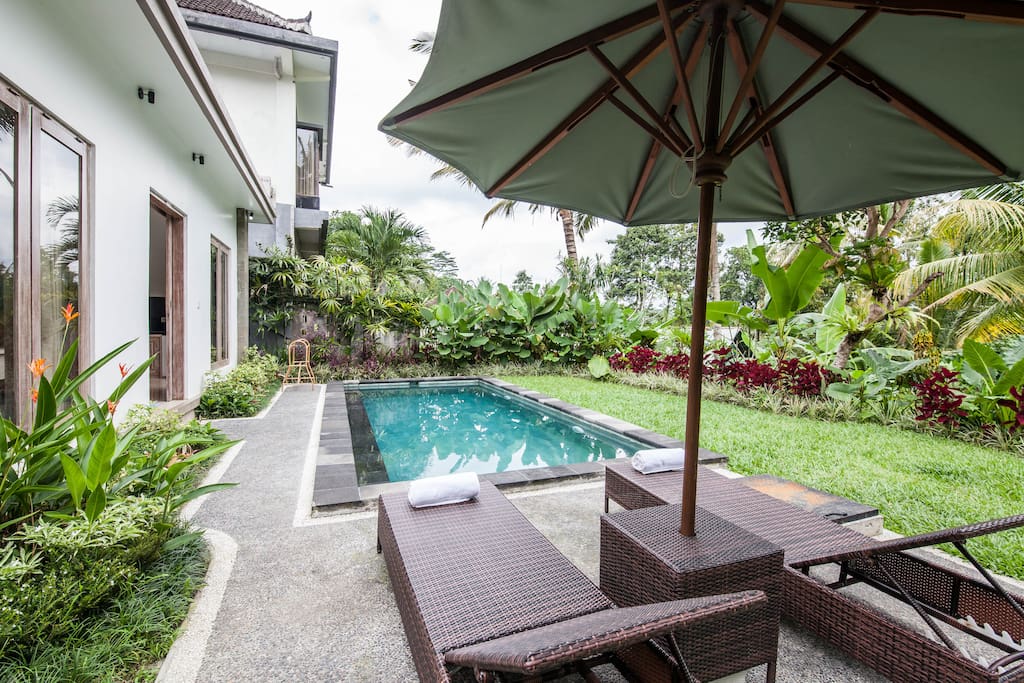 Beautiful pool with greenery