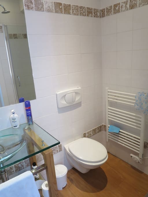 modern bathroom, shower only, heated towel rail