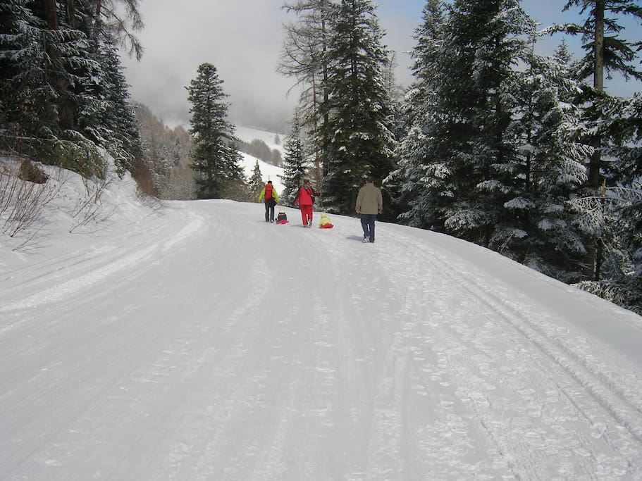 Piste vers la station des Karellis