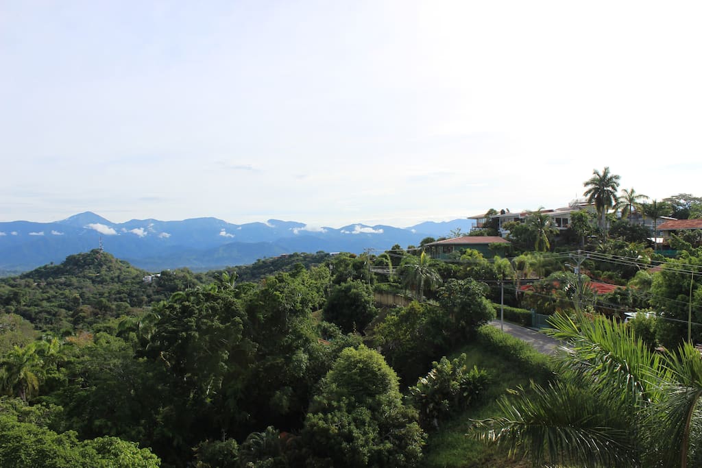 View from the balcony of the condo