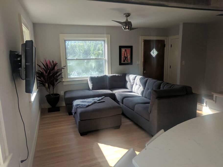 Living room w/ pull out couch