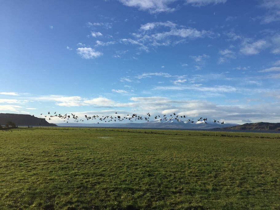 View from caravan