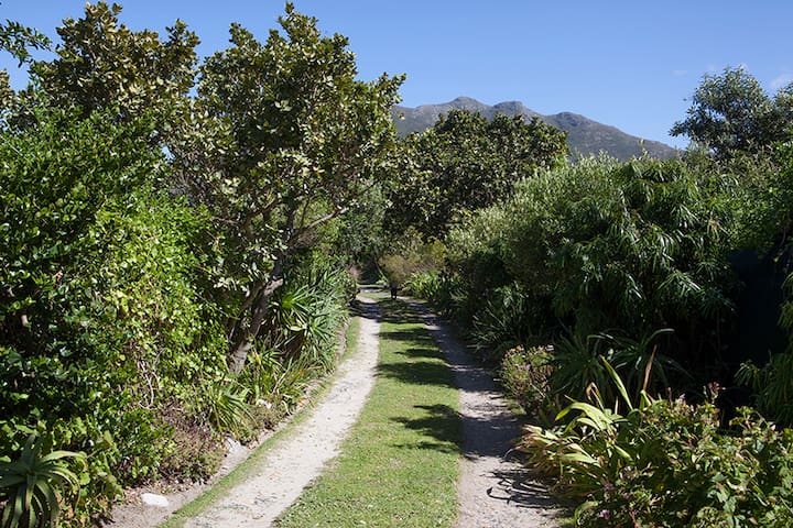 Noordhoek Farm Style House gallery image 5