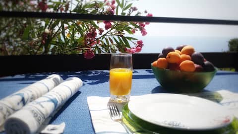 Top performing Airbnb: Sea view house in Dobra Voda Dio