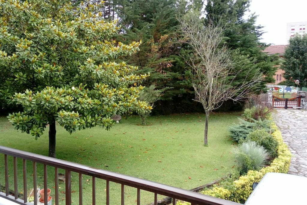 jardin