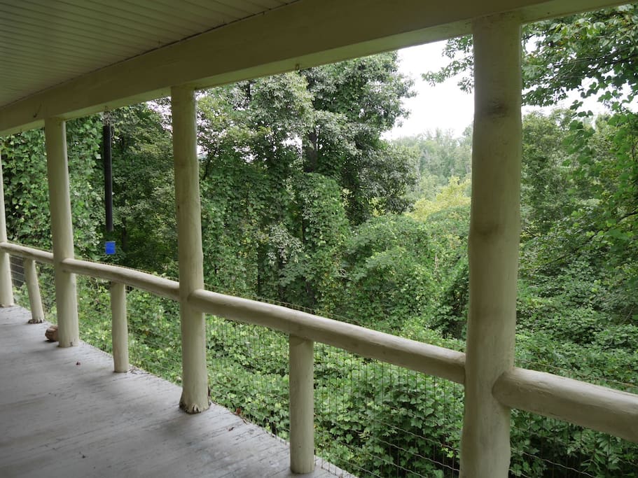 Our front porch overlooks the woods leading down to Flat Creek.