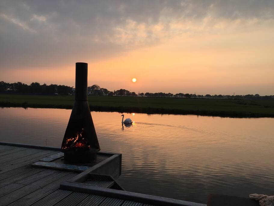 Sunset with stove and swan