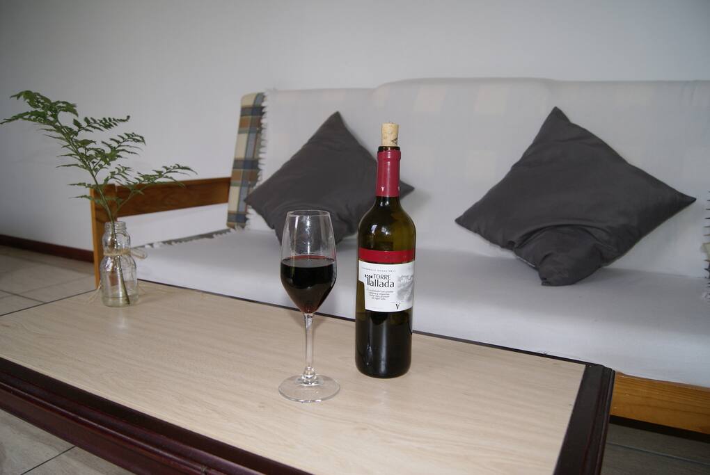 Sofa Cama