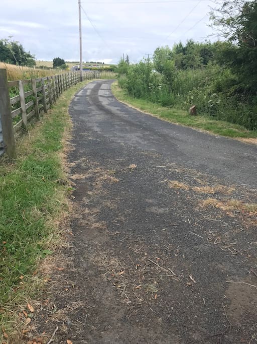 Driveway to property