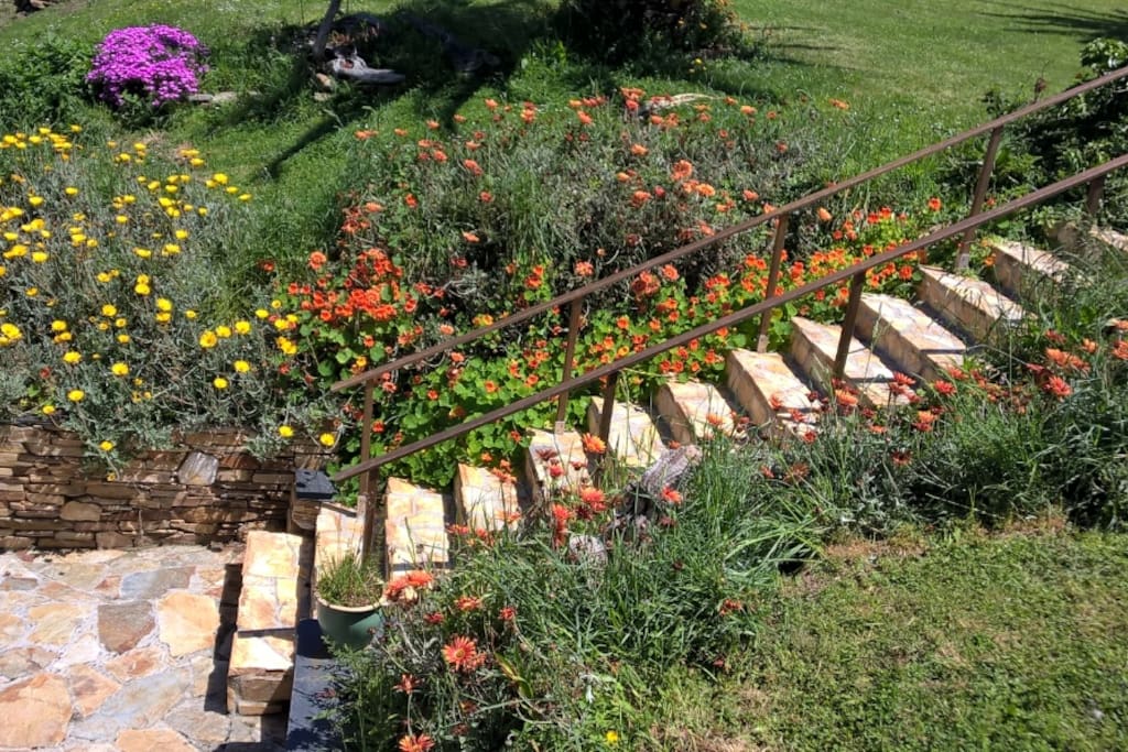 Jardín